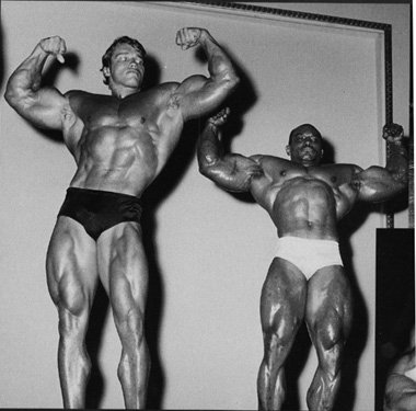 arnold schwarzenegger workout. Arnold Schwarzenegger Body