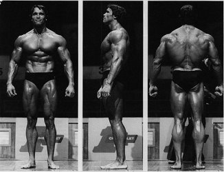 arnold schwarzenegger lessons