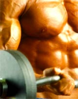 Bodybuilding eBooks