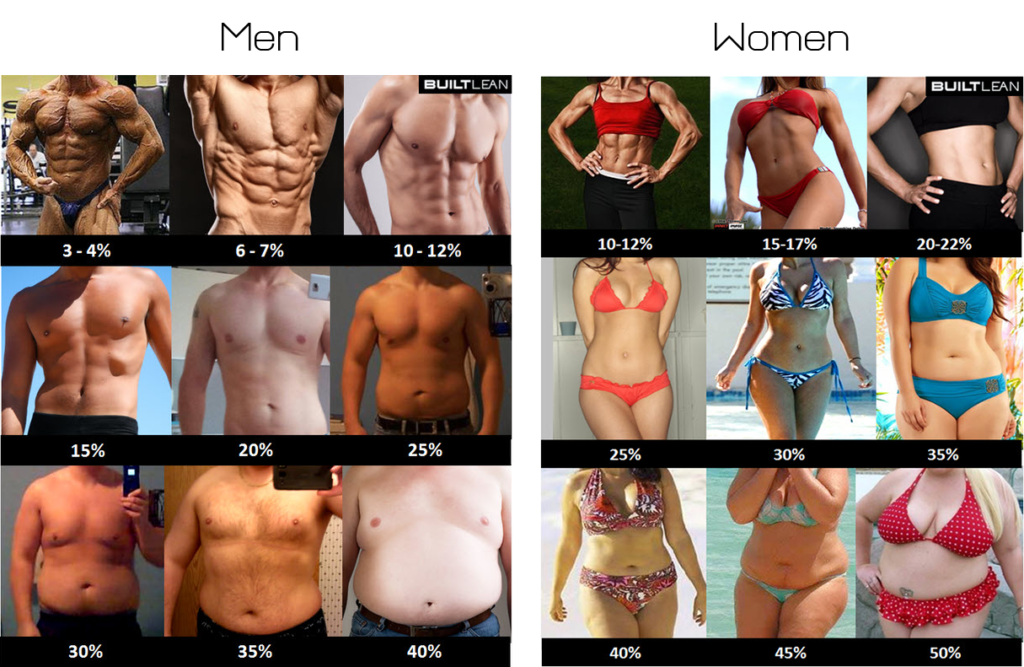 Body Fat Percentage Chart