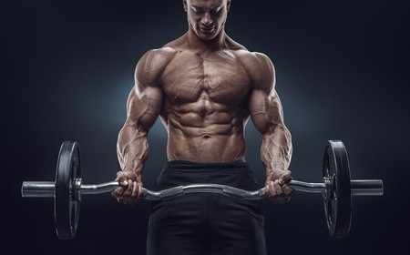 bodybuilding articles