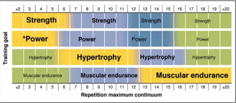 Bodybuilding Reps Chart