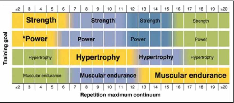 Bodybuilding Reps and Weight Calculator