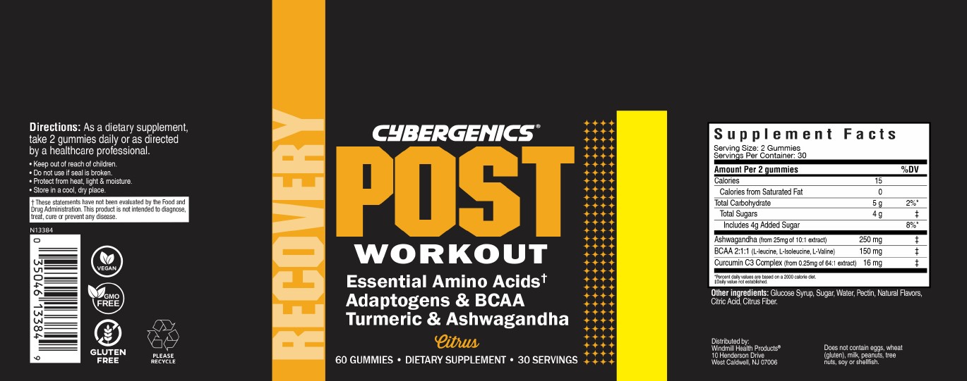 Cybergenics Post Workout