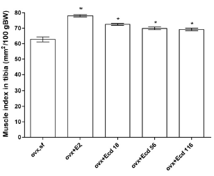 Low doses of ecdysteroids promote muscle building