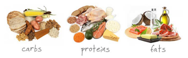 Macronutrients and Calories