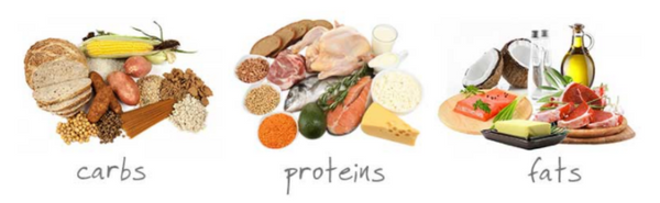 Macronutrients Bodybuilding