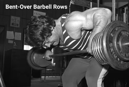 Mike Mentzer Back Routine