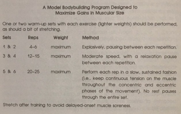 Using Different Rep Ranges in Same Workout