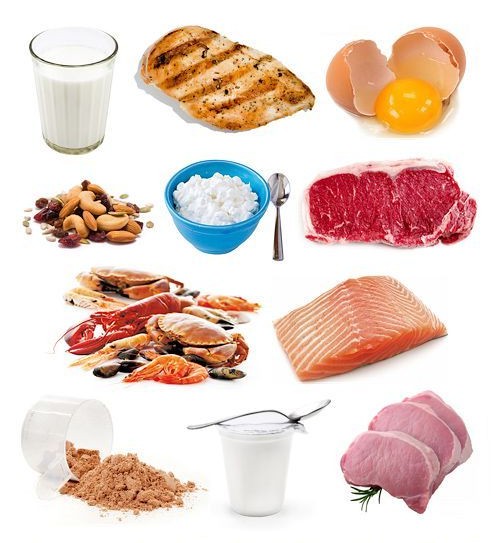 Protein Calculator for Bodybuilding