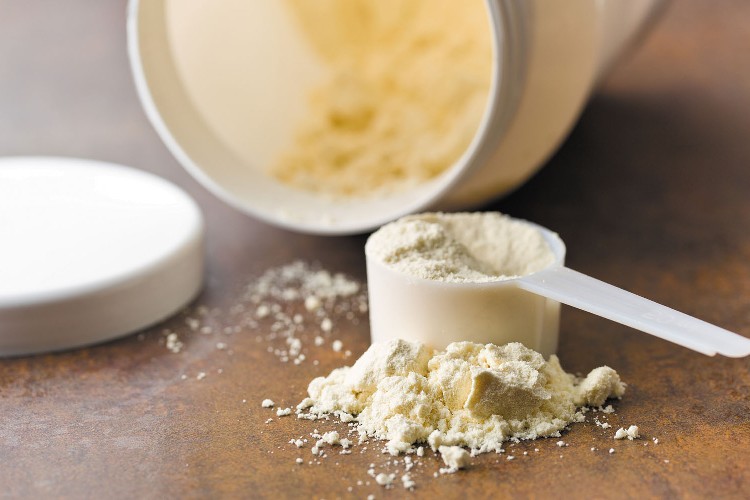 Scientific Studies on Protein Powder