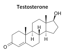 foods that boost testosterone